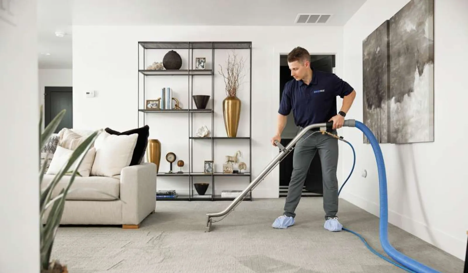 Professional cleaner vacuuming beige carpet in modern living room with shelves, sofa, and wall art.